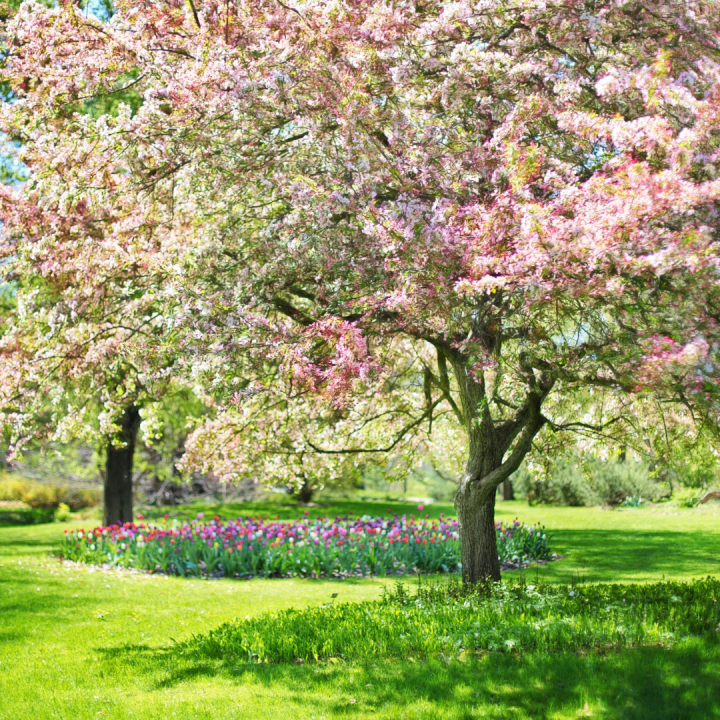 Frühlingserwachen - Verkaufsoffener Sonntag